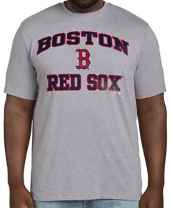Fanatics MLB Boston Red Sox Heather Gray Short Sleeve Tee Shirt 5XT