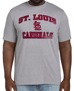 Fanatics MLB Saint Louis Cardinals Heather Gray Short Sleeve Tee Shirt 5XT