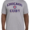 Fanatics MLB Chicago Cubs Heather Gray Short Sleeve Tee Shirt 5XT