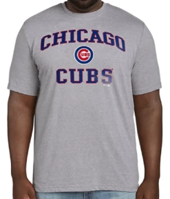 Fanatics MLB Chicago Cubs Heather Gray Short Sleeve Tee Shirt 5XT