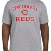 Fanatics MLB Cincinnati Reds Heather Gray Short Sleeve Tee Shirt 5XT