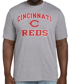 Fanatics MLB Cincinnati Reds Heather Gray Short Sleeve Tee Shirt 5XT