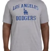Fanatics MLB LA Dodgers Heather Gray Short Sleeve Tee Shirt 5XT 1 Fanatics MLB LA Dodgers Heather Gray Short Sleeve Tee Shirt 5XT -Fanatics Comlumbia Shop Dodgerstee 67790.1695399035