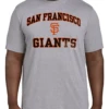 Fanatics MLB San Francisco Giants Heather Gray Short Sleeve Tee Shirt 3XT, 4XT, 5X, 5XT 1 Fanatics MLB San Francisco Giants Heather Gray Short Sleeve Tee Shirt 3XT, 4XT, 5X, 5XT -Fanatics Comlumbia Shop SFGiantsTee 55653.1695398204