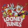 Looney Tunes Bugs & Gang Heather Red Tee Shirt 2XT, 4X, 6X -Fanatics Comlumbia Shop looneytunes 60924.1714071774