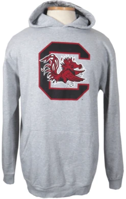 Champion South Carolina Gamecocks Heather Gray Pullover Hoodie 2XT, 3X